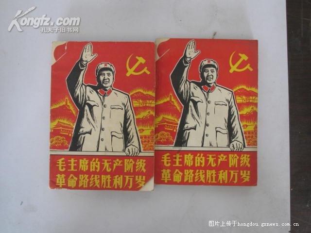 救援男孩贝利